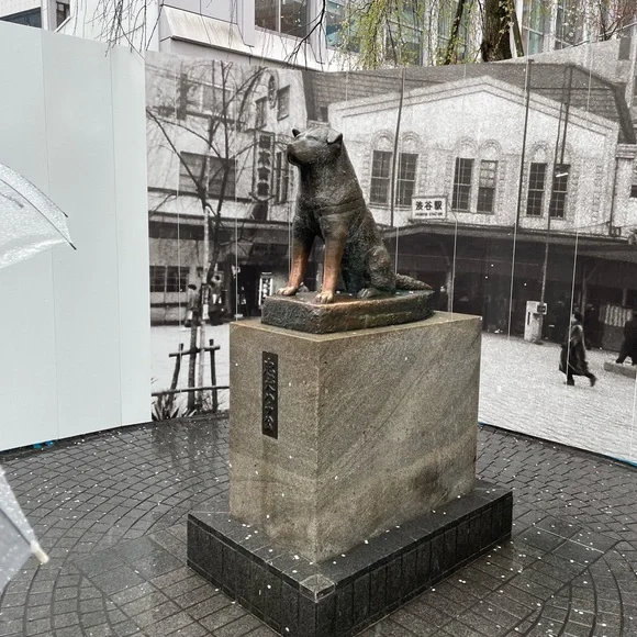 $5 for live share show
Picture taken in Japan - Picture 4 of 7